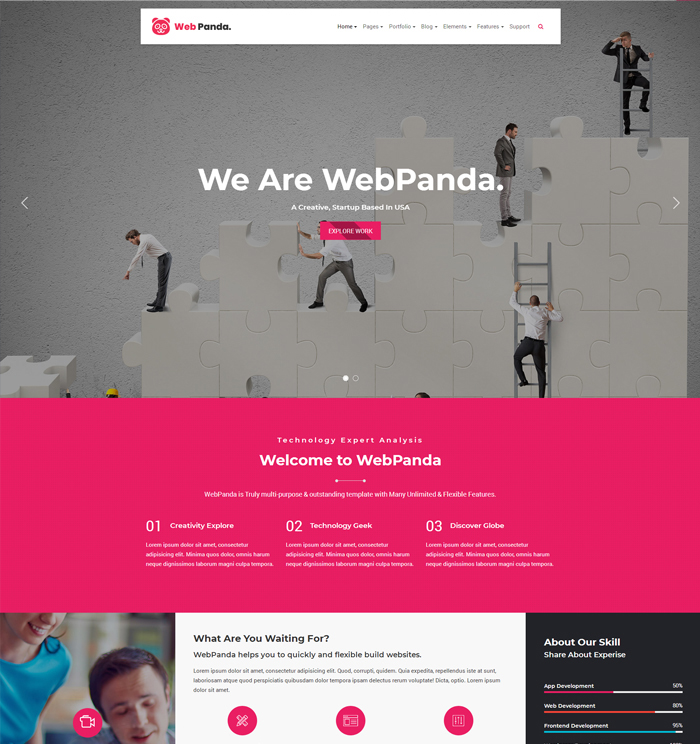 WebPanda Startup